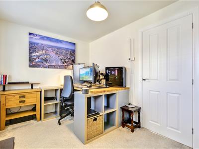 Picture 15